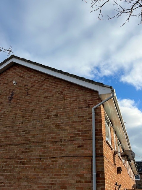 New fascias and soffits in Eastbourne. Happy customer