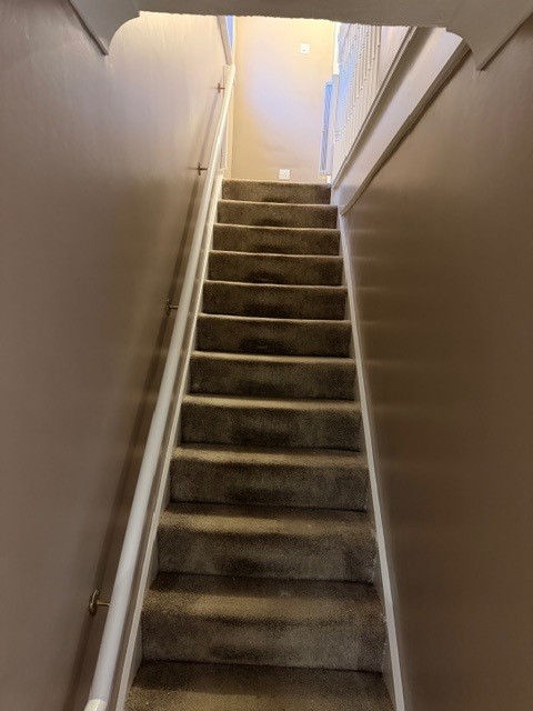 Picture_8